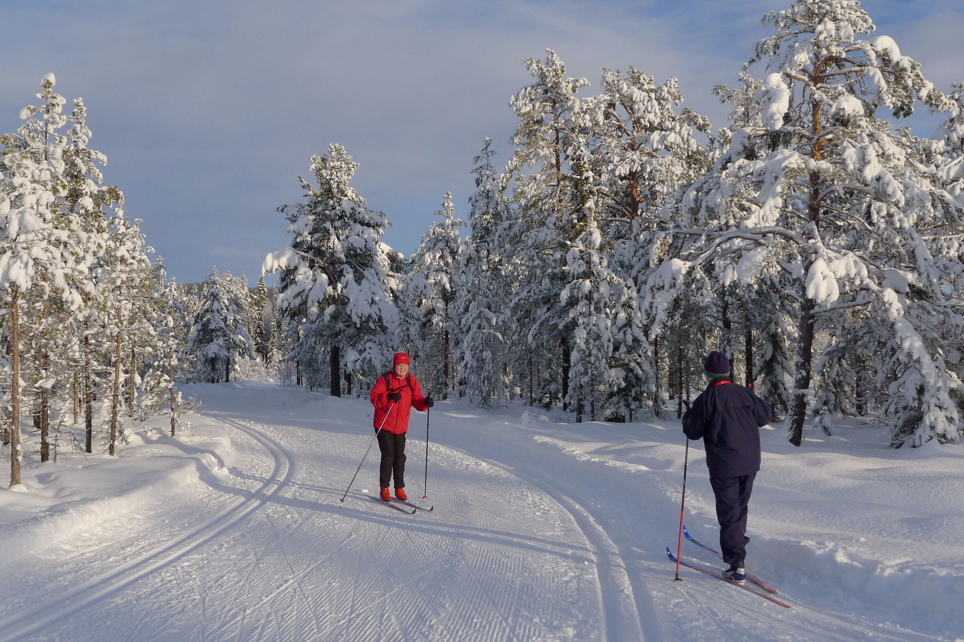 Cross-country Skiing in Lillehammermarka