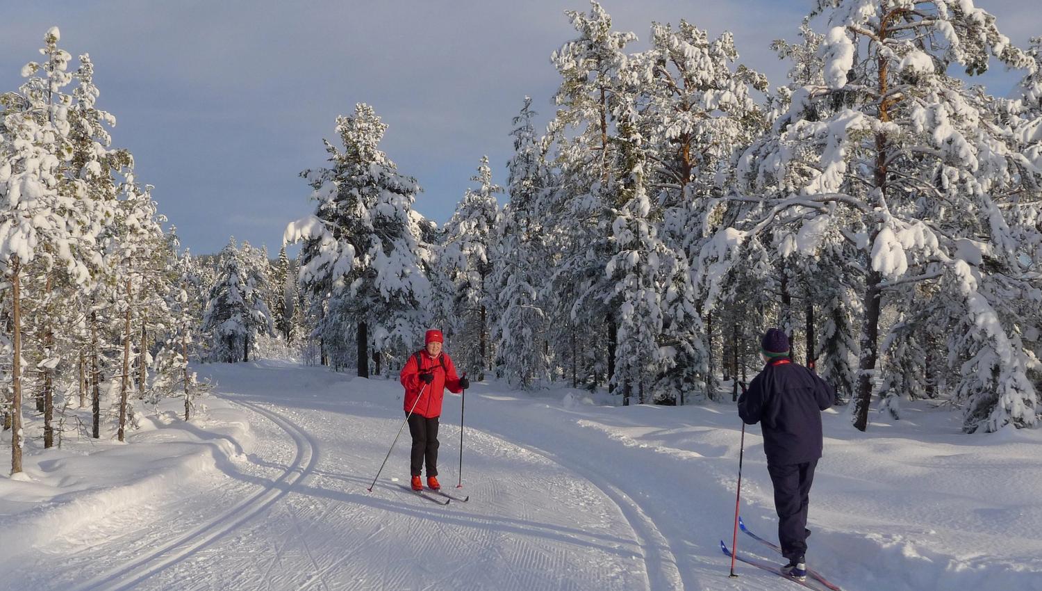 Cross-country Skiing in Lillehammermarka