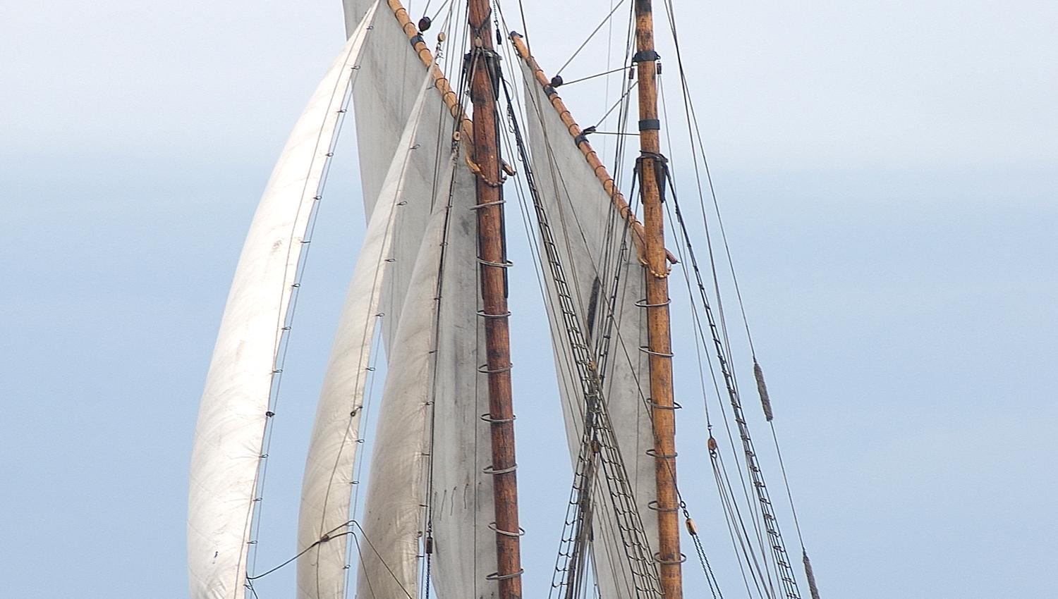 The Arctic liner Berntine at sea