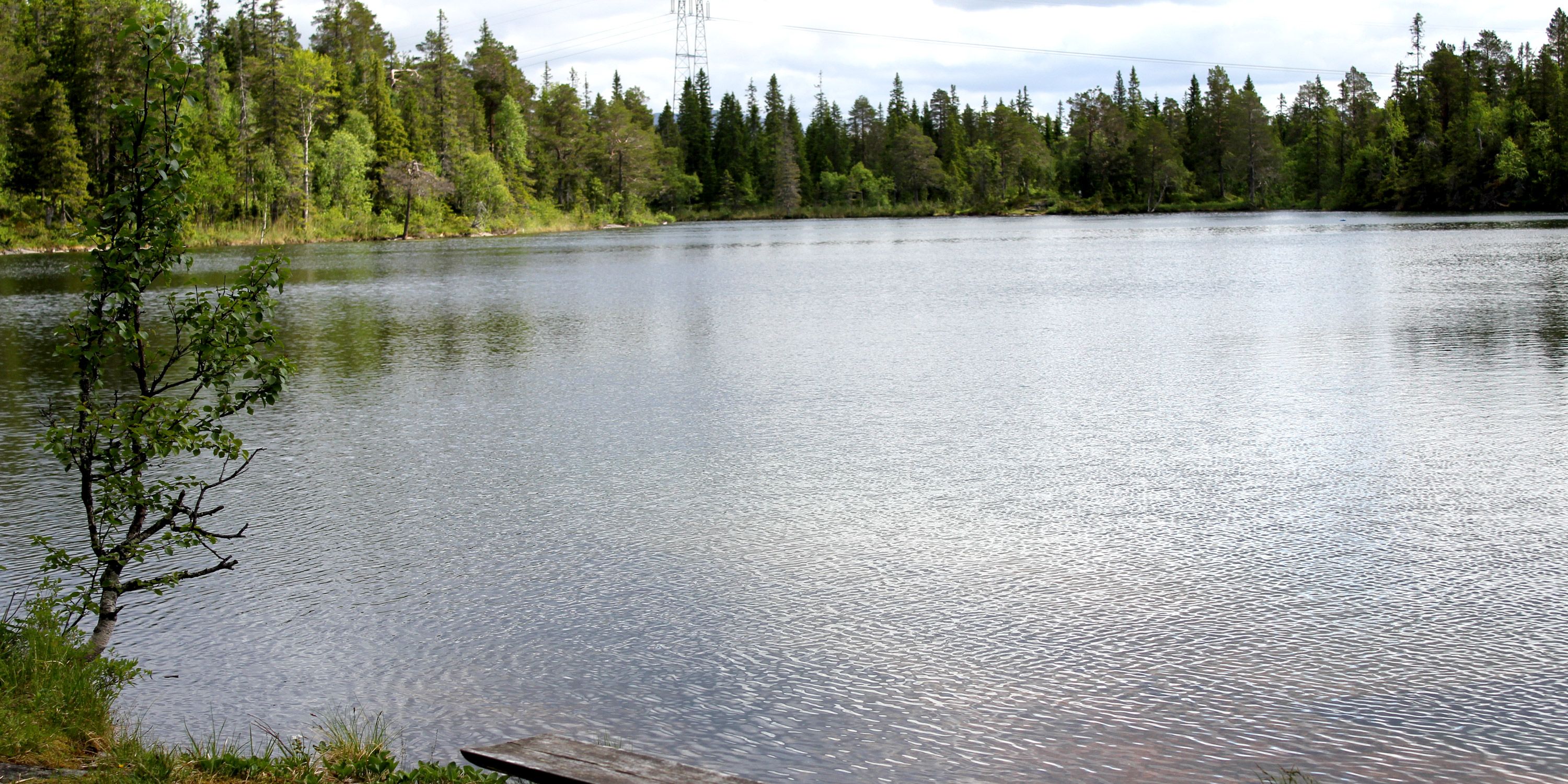 Bergåsen Nature Trail in Snåsa