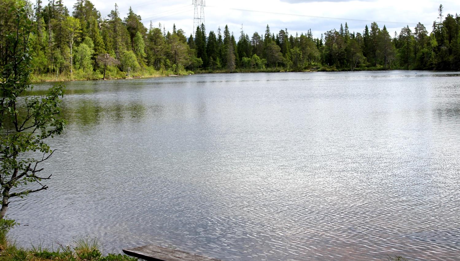 Bergåsen Nature Trail in Snåsa