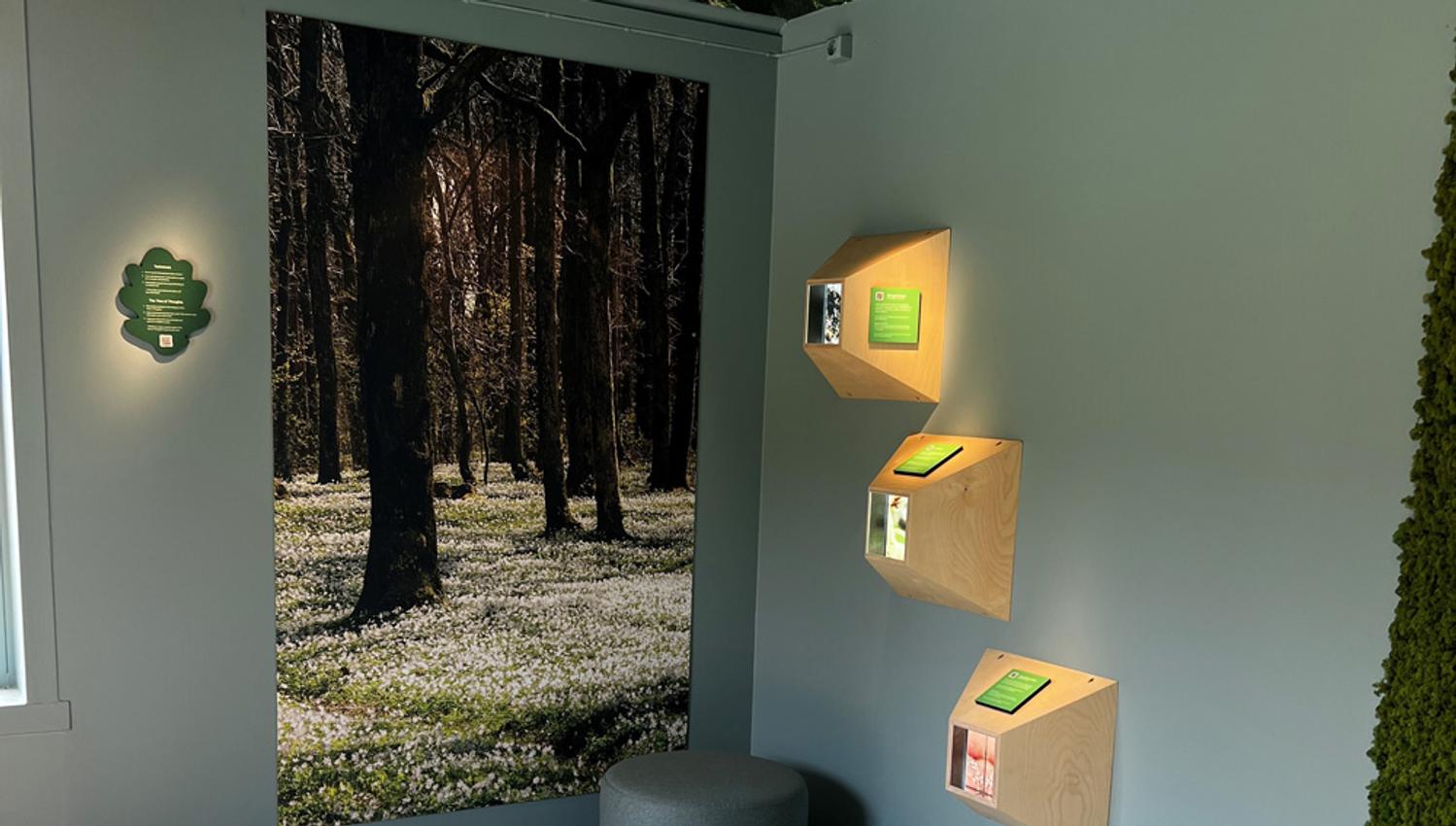 interactive exhibition at the visitor centre