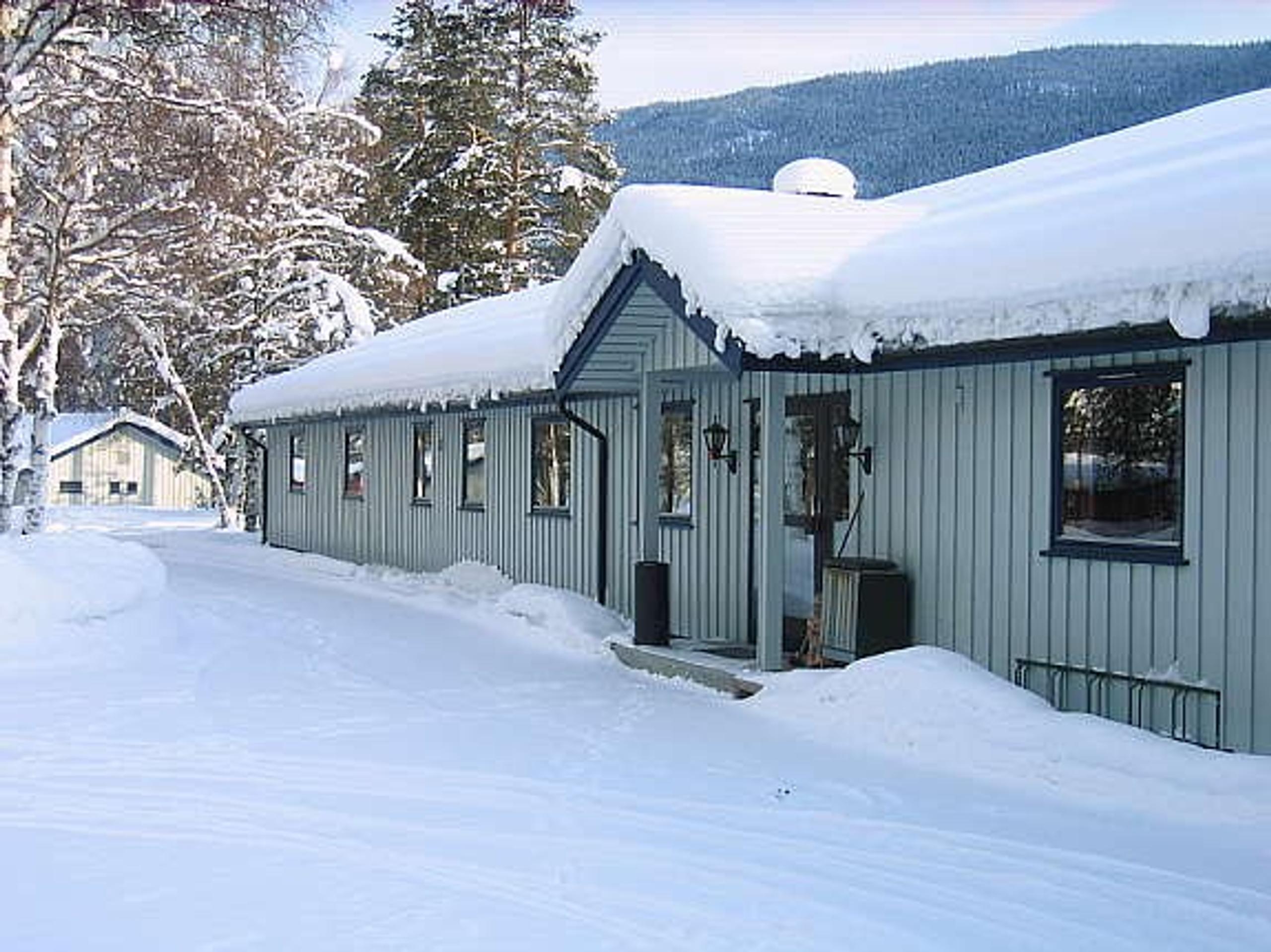 Bilde Torpomoen