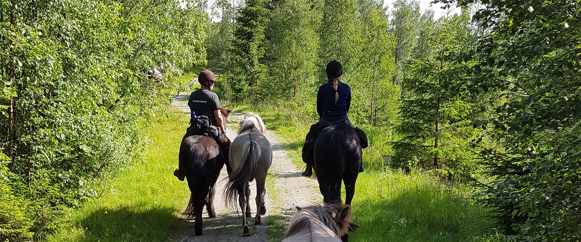 tre hester som rir inn i en skog.