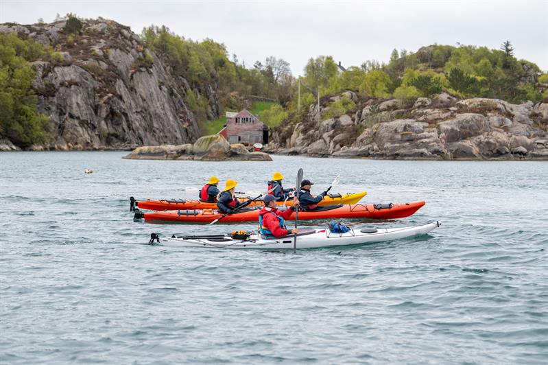 Guided kayak trip