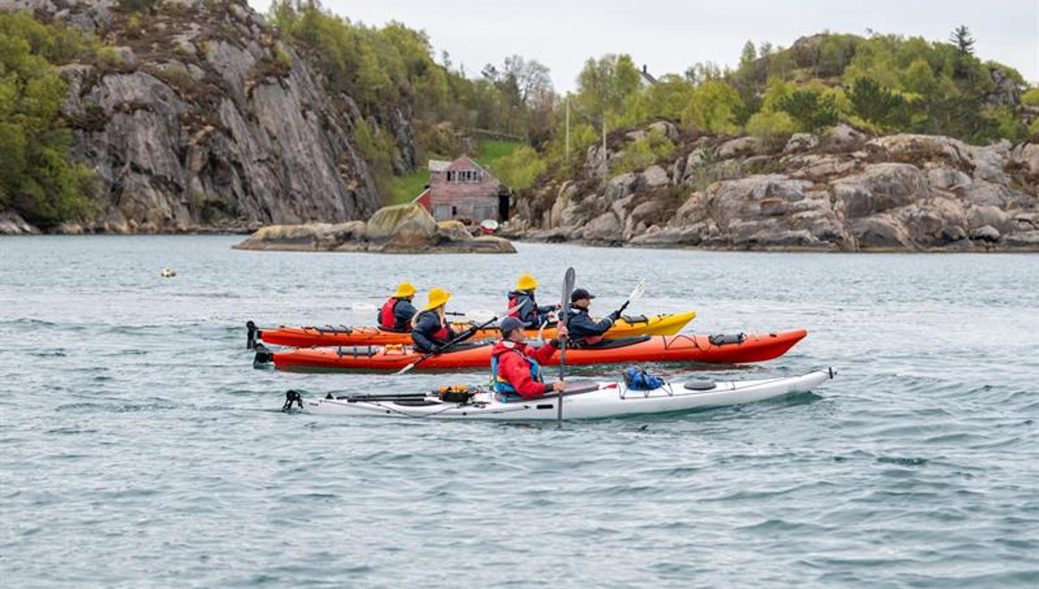 Guided kayak trip