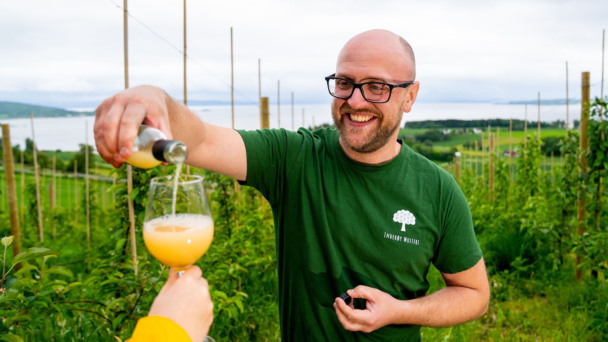 Pouring apple juice into glass