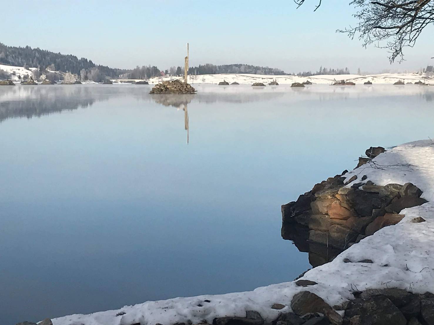 bingen lenser v