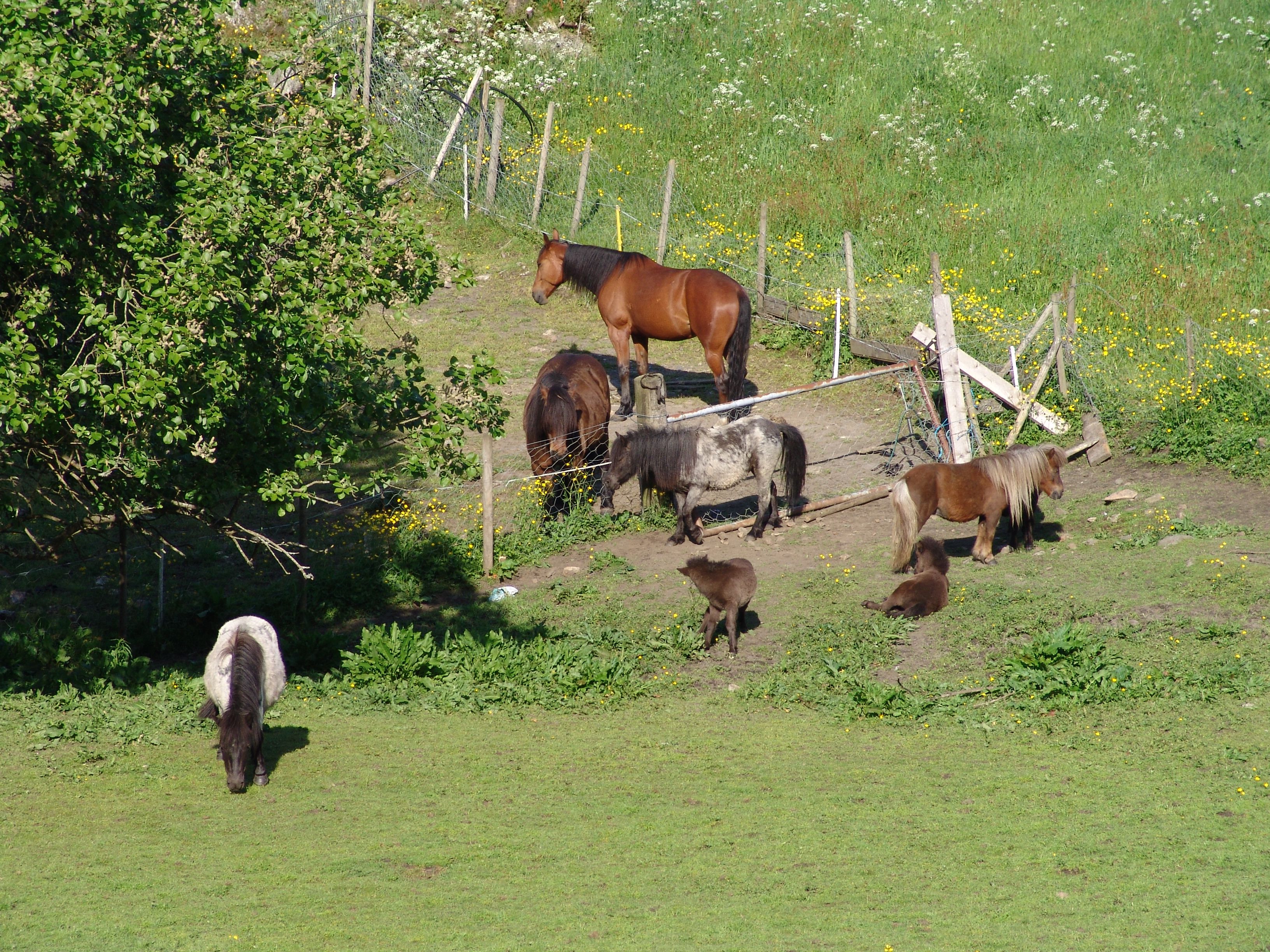 Alver Hotel - Just outside of Bergen you can enjoy this beautiful area