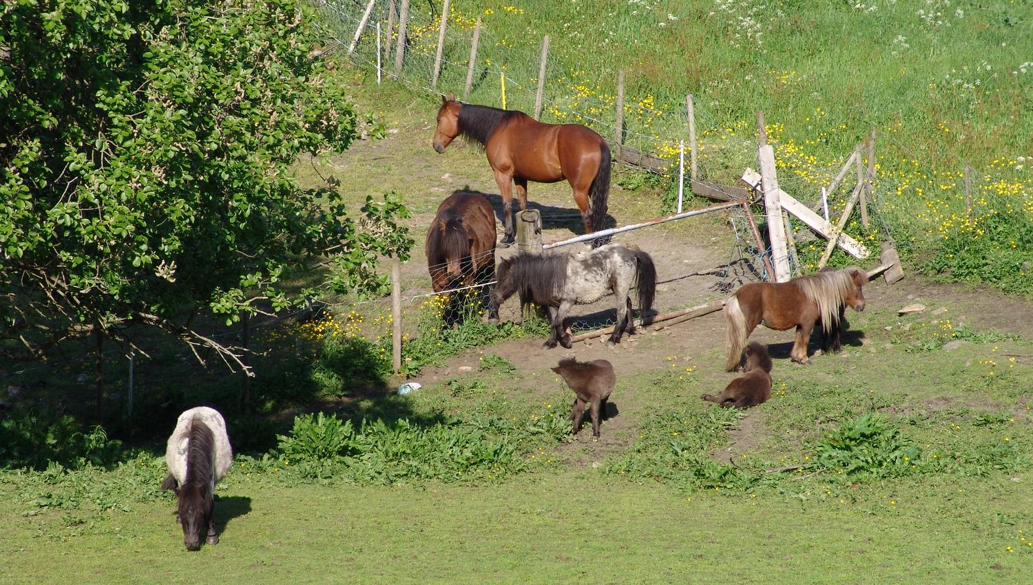 Alver Hotel - Just outside of Bergen you can enjoy this beautiful area