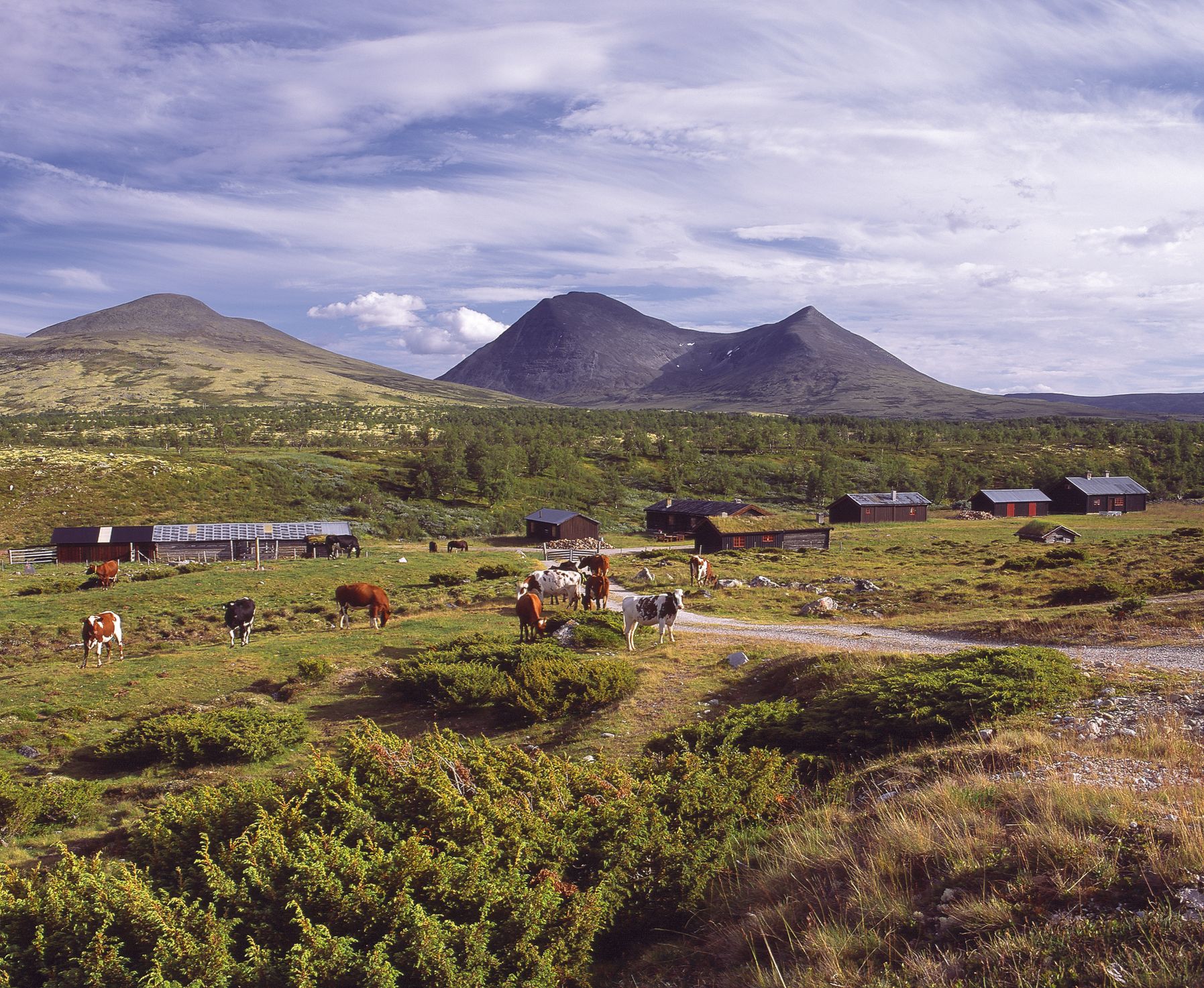 Folldalsvangen, Foto: DMT Alvdal