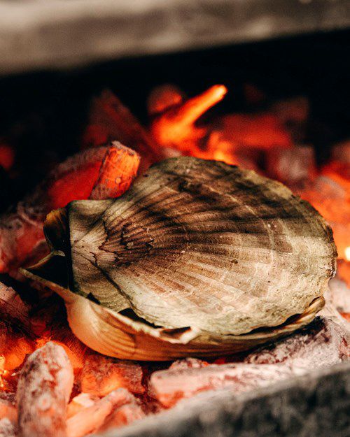Grilled scallops