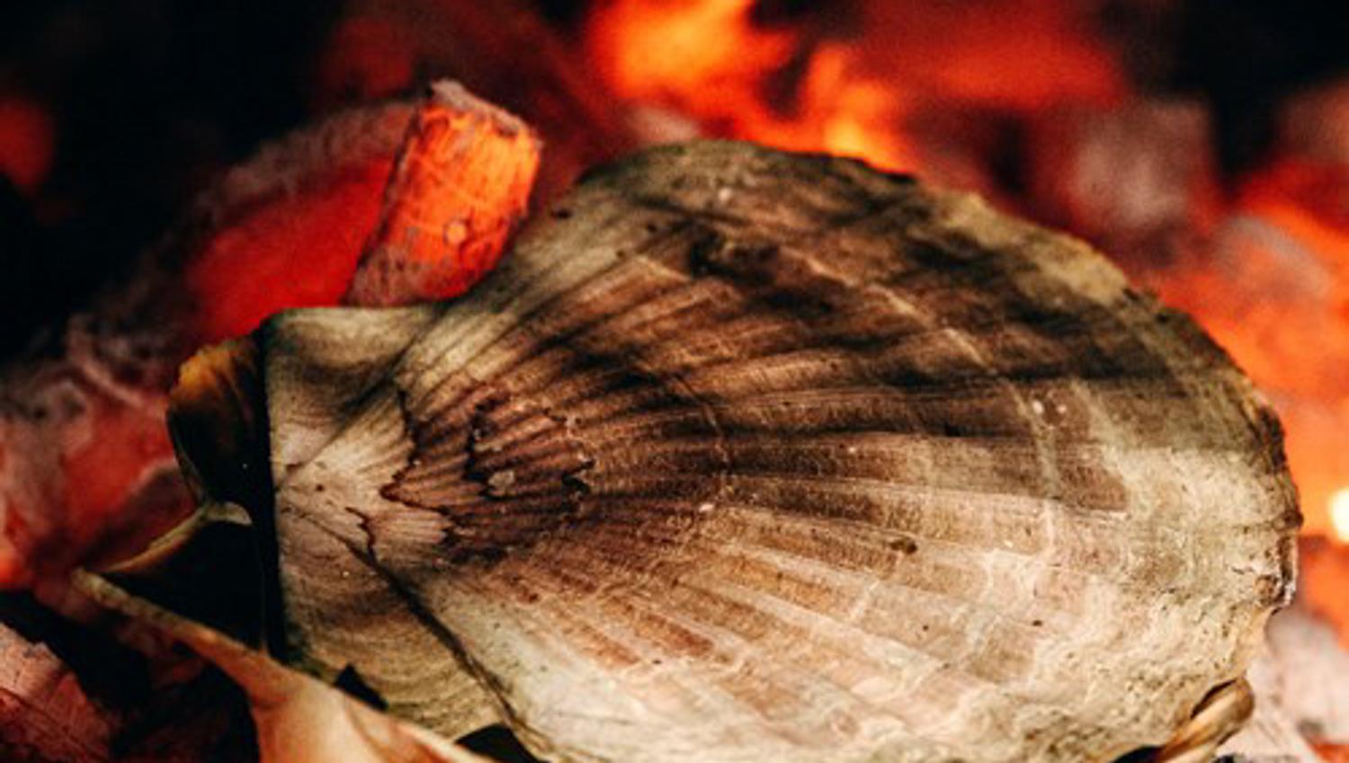 Grilled scallops