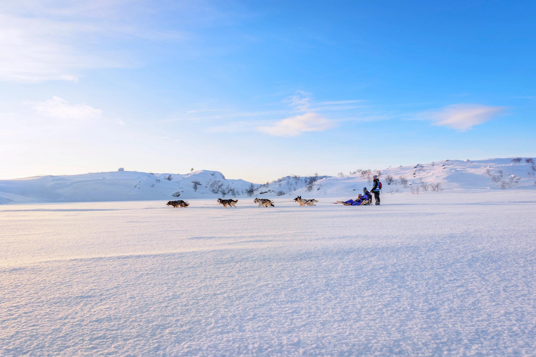 Snowhotel Kirkenes - Husky safari 2 hours
