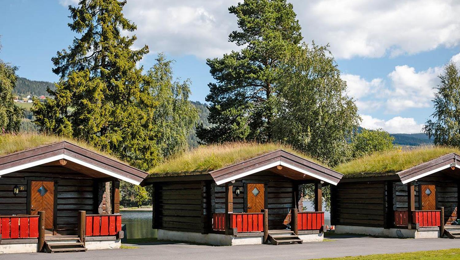 Hytter med grasstak