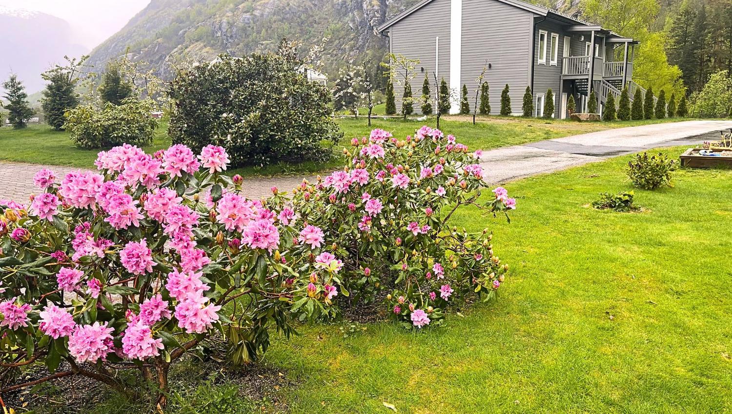 Skaimsberg Apartments, Aurland