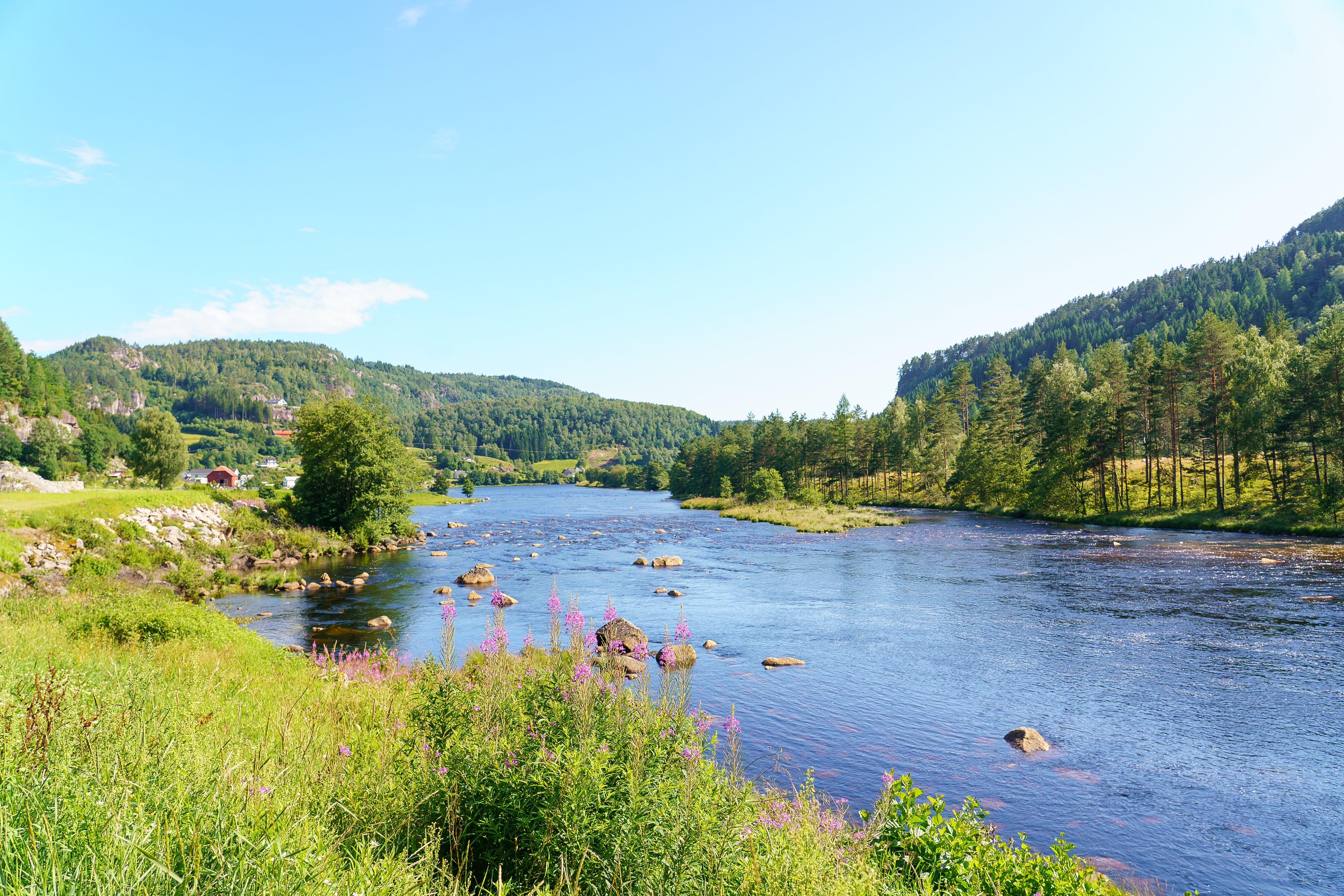 Rafoss