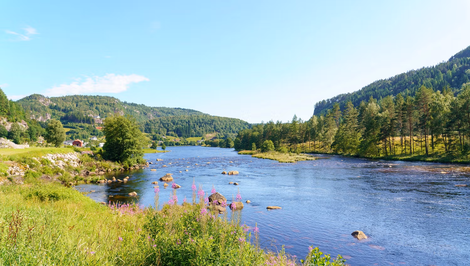 Rafoss