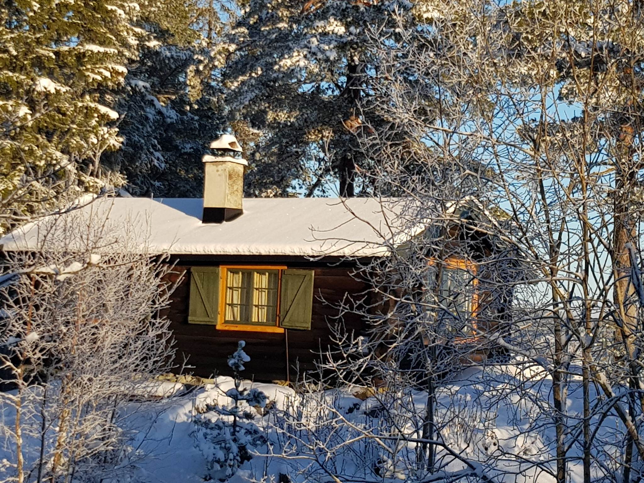 Brun hytte omgitt av trær, snø