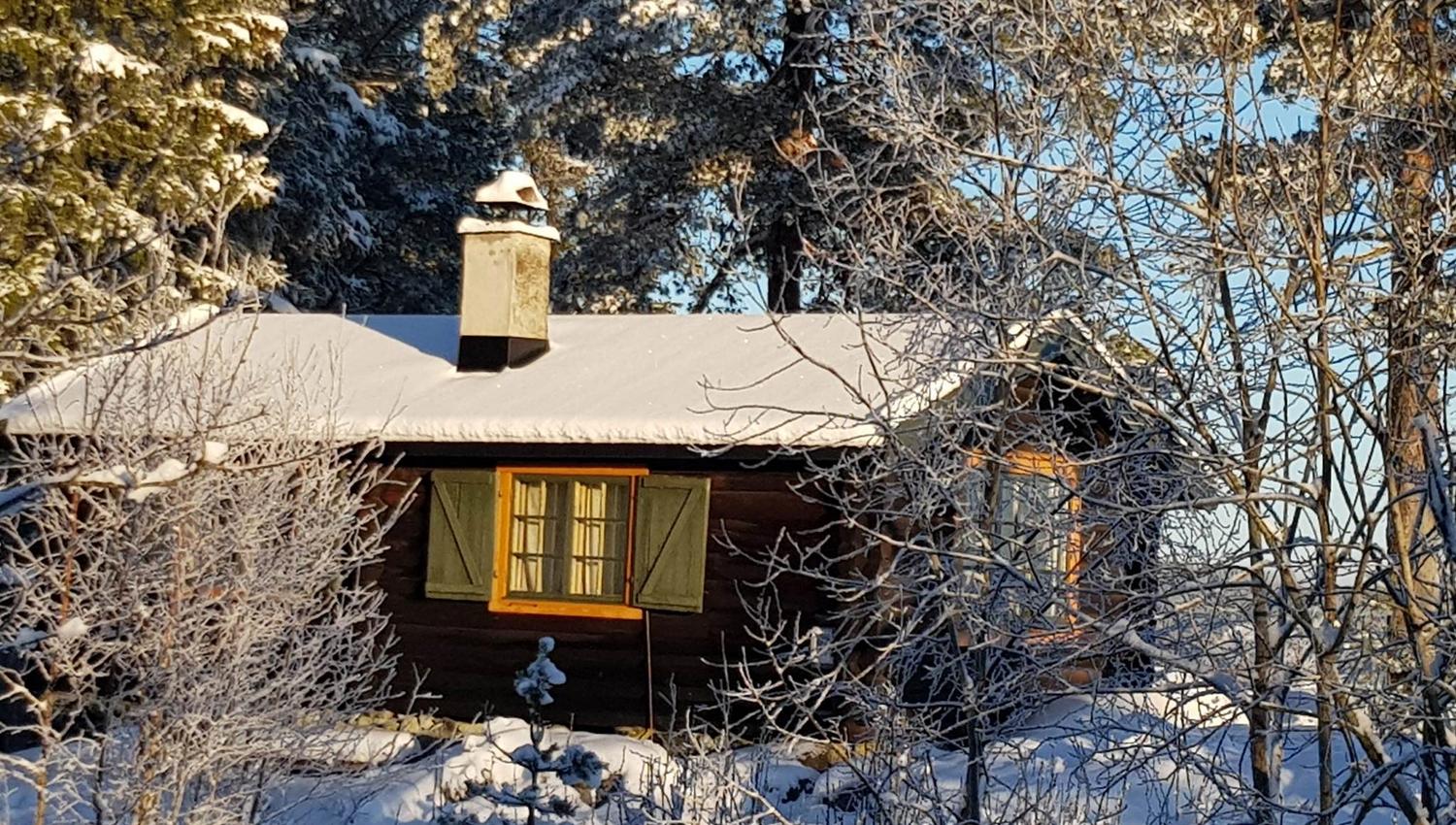 Brun hytte omgitt av trær, snø