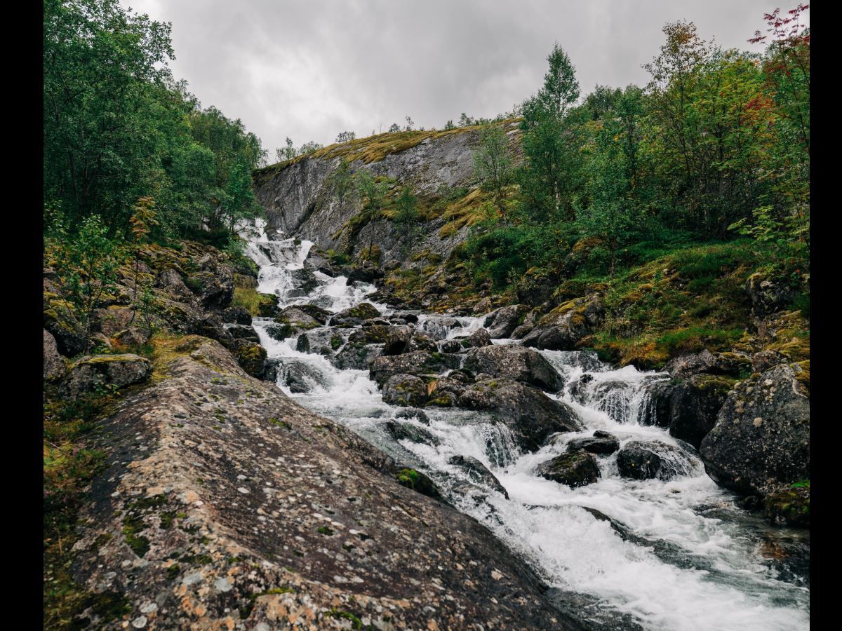 Stri bekk som danner små fossefall mellom steiner i skogkledd fjellterreng under grå, overskyet himmel..