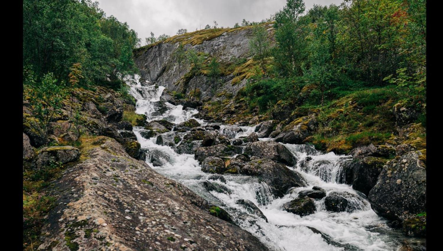Stri bekk som danner små fossefall mellom steiner i skogkledd fjellterreng under grå, overskyet himmel..