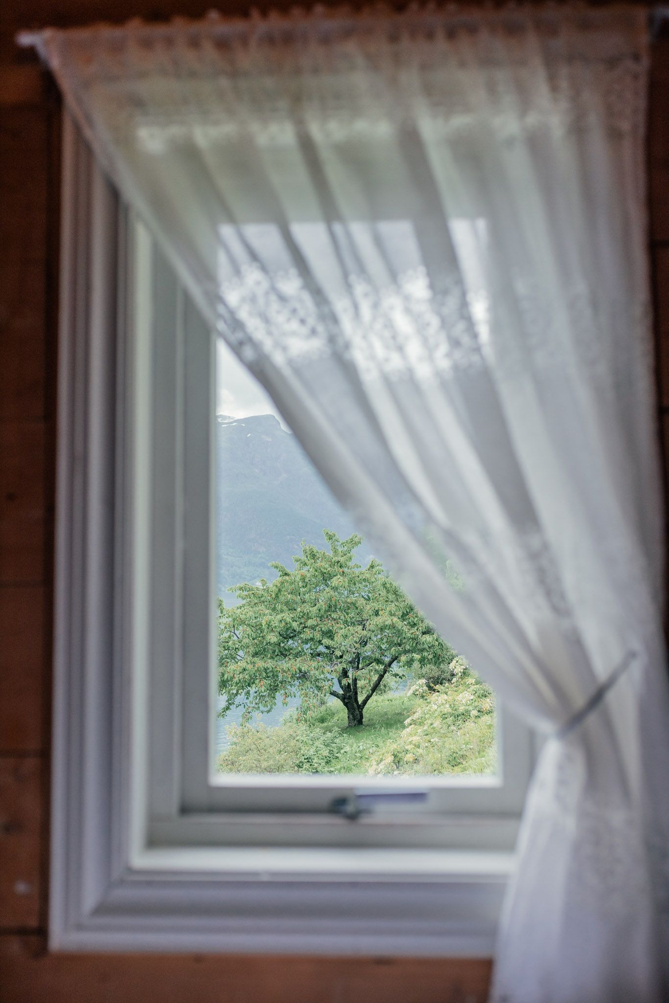 View of a cherry tree and the fjord from Stana Farm – genuine Hardanger charm in the fruit village.