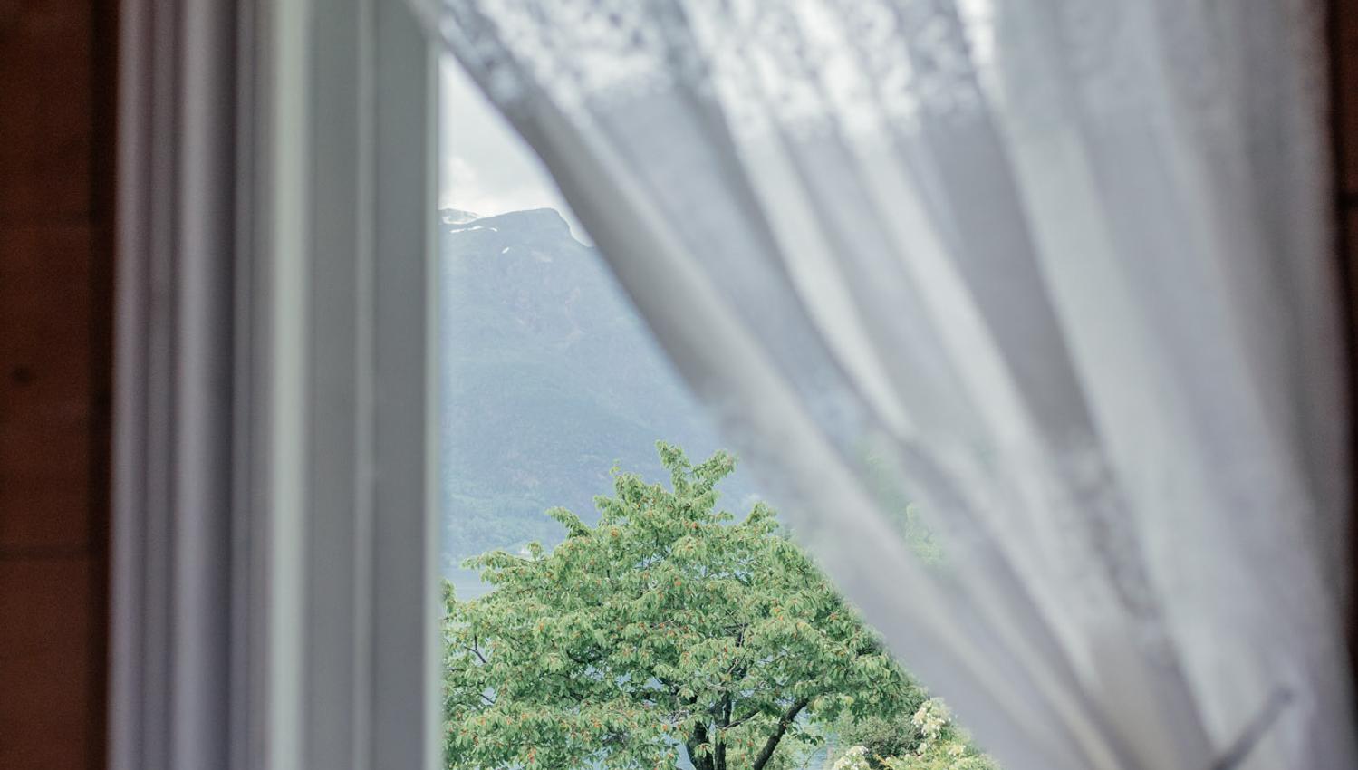 View of a cherry tree and the fjord from Stana Farm – genuine Hardanger charm in the fruit village.