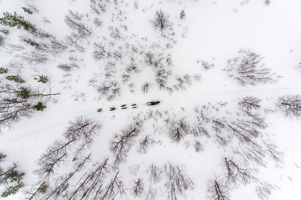 Aerial view of the dog sled and the surroundings and forests