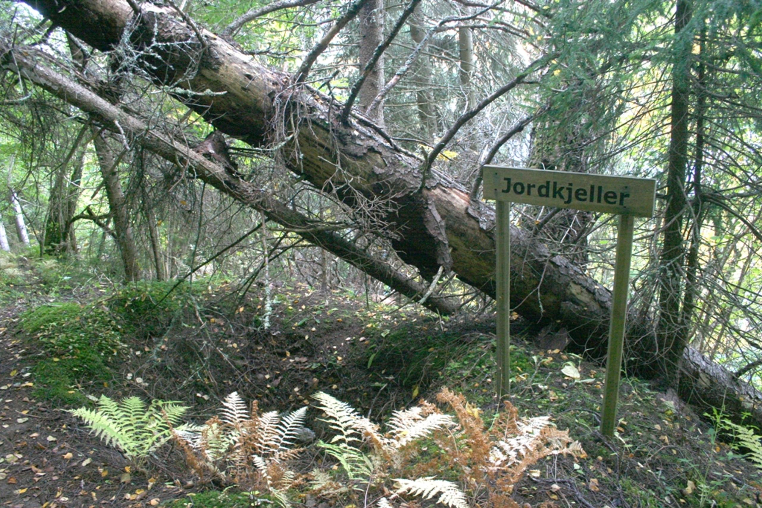 Jordkjeller