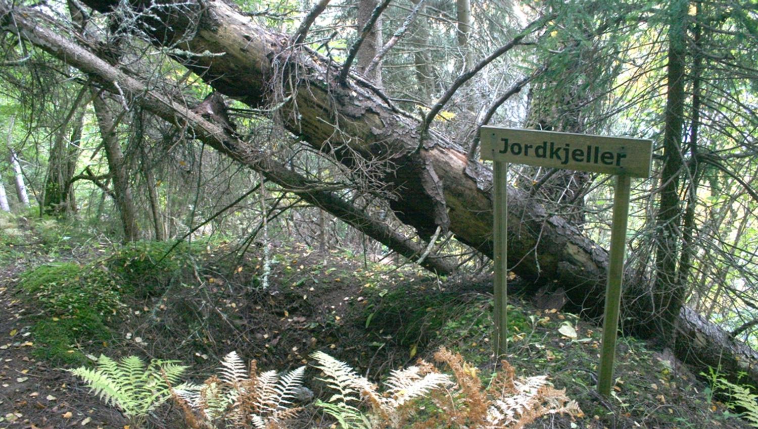 Jordkjeller