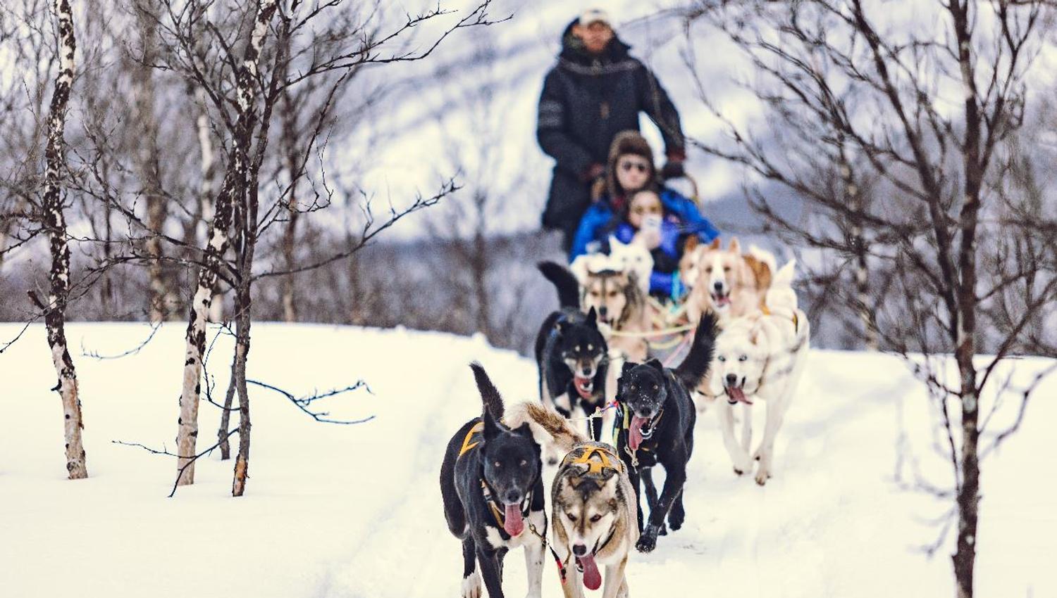 Hundeslede