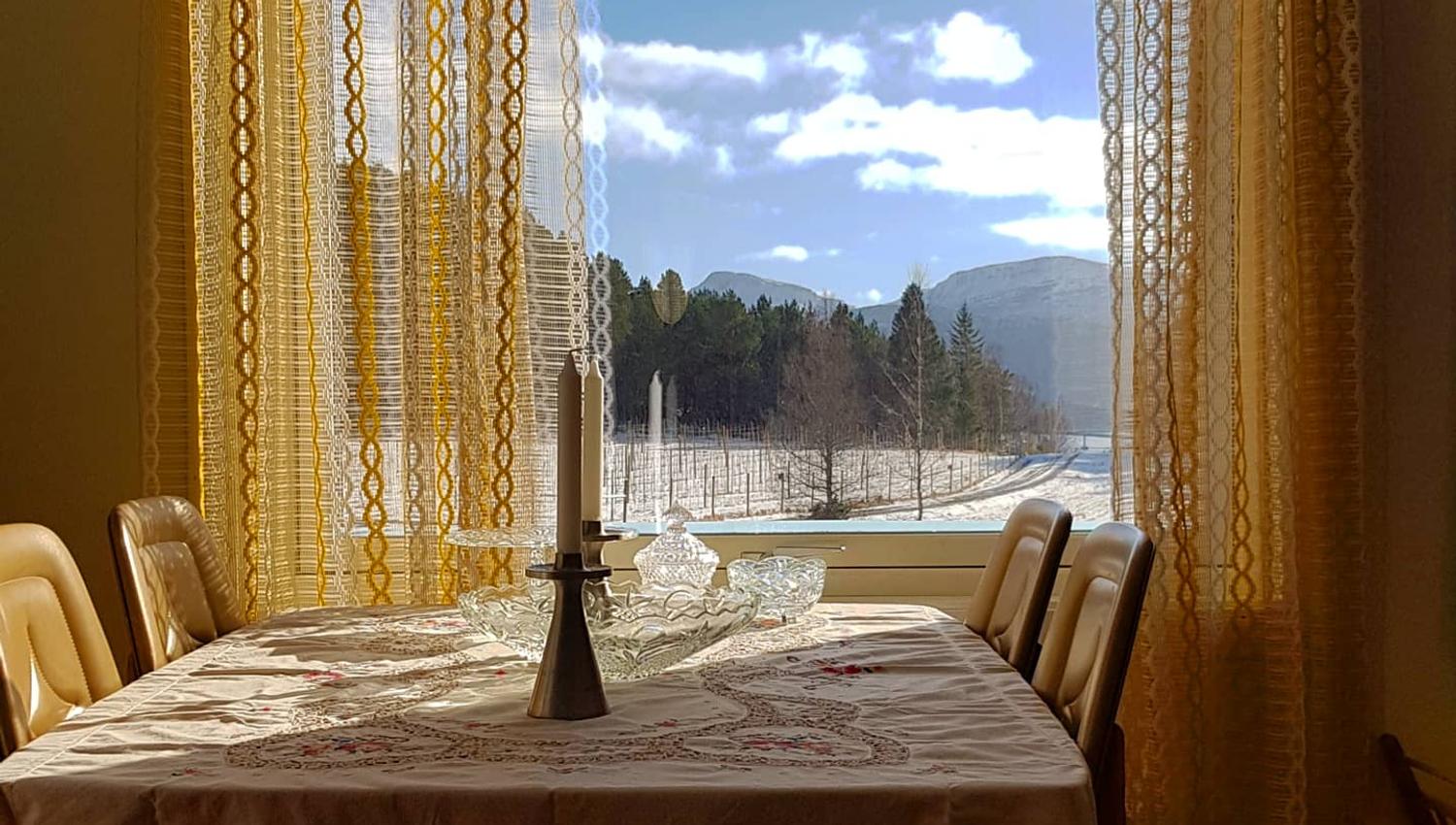 Dining at Solbu cidery