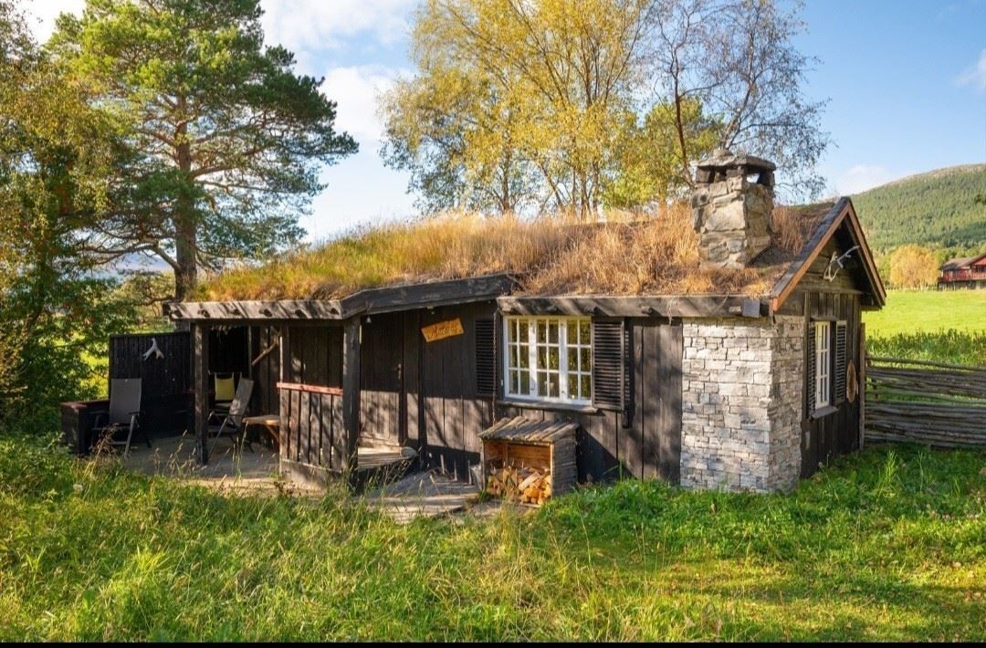 Outdoor photo of a log cabin with a thatched roof surrounded by grass and trees, with mountain scenery in the background.
