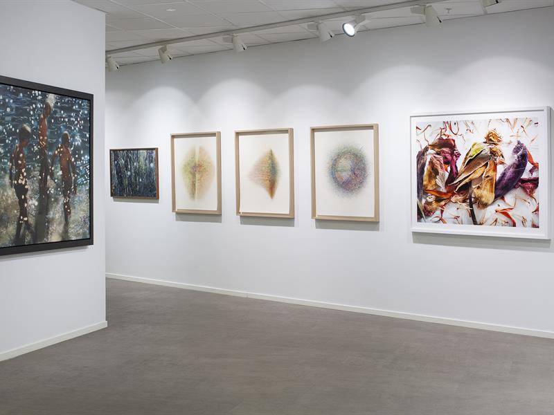 exhibition at Fineart Oslo