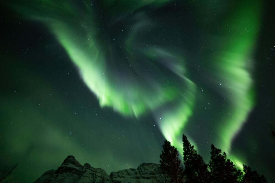 Northern lights above forrest and mountains in the Tromso region