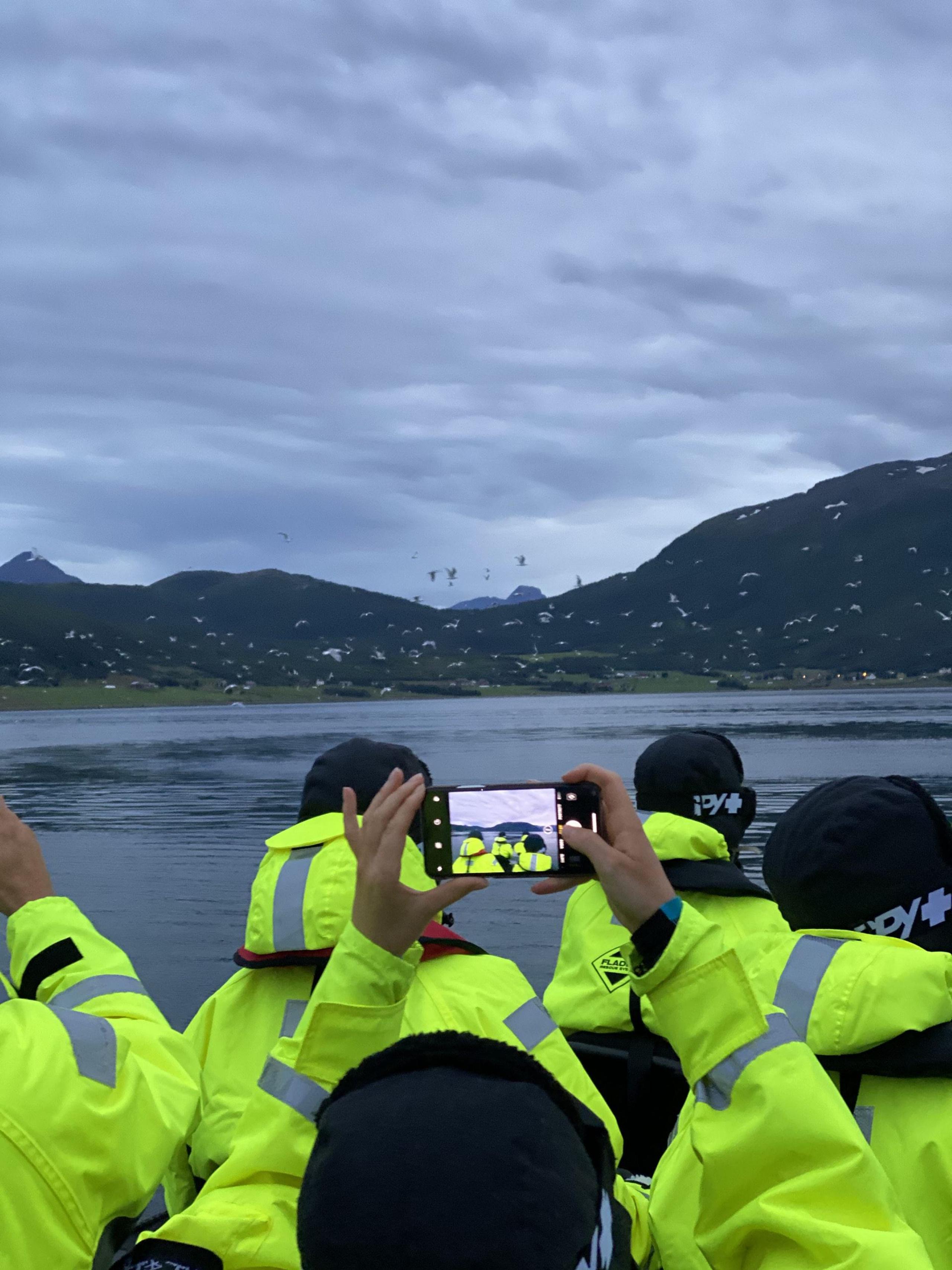 Whale watching from Skjervøy - Reisafjord Xperience