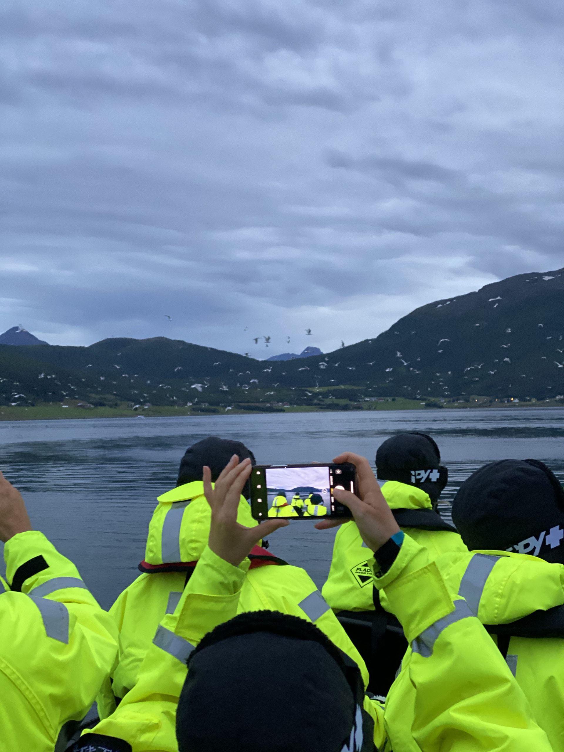 Whale watching from Skjervøy - Reisafjord Xperience