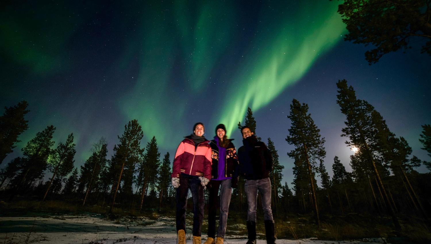Witness the magic of the aurora borealis! Three friends capture a moment against the mesmerizing display of green lights dancing in the night sky, surrounded by a serene winter landscape. An unforgettable experience in nature!