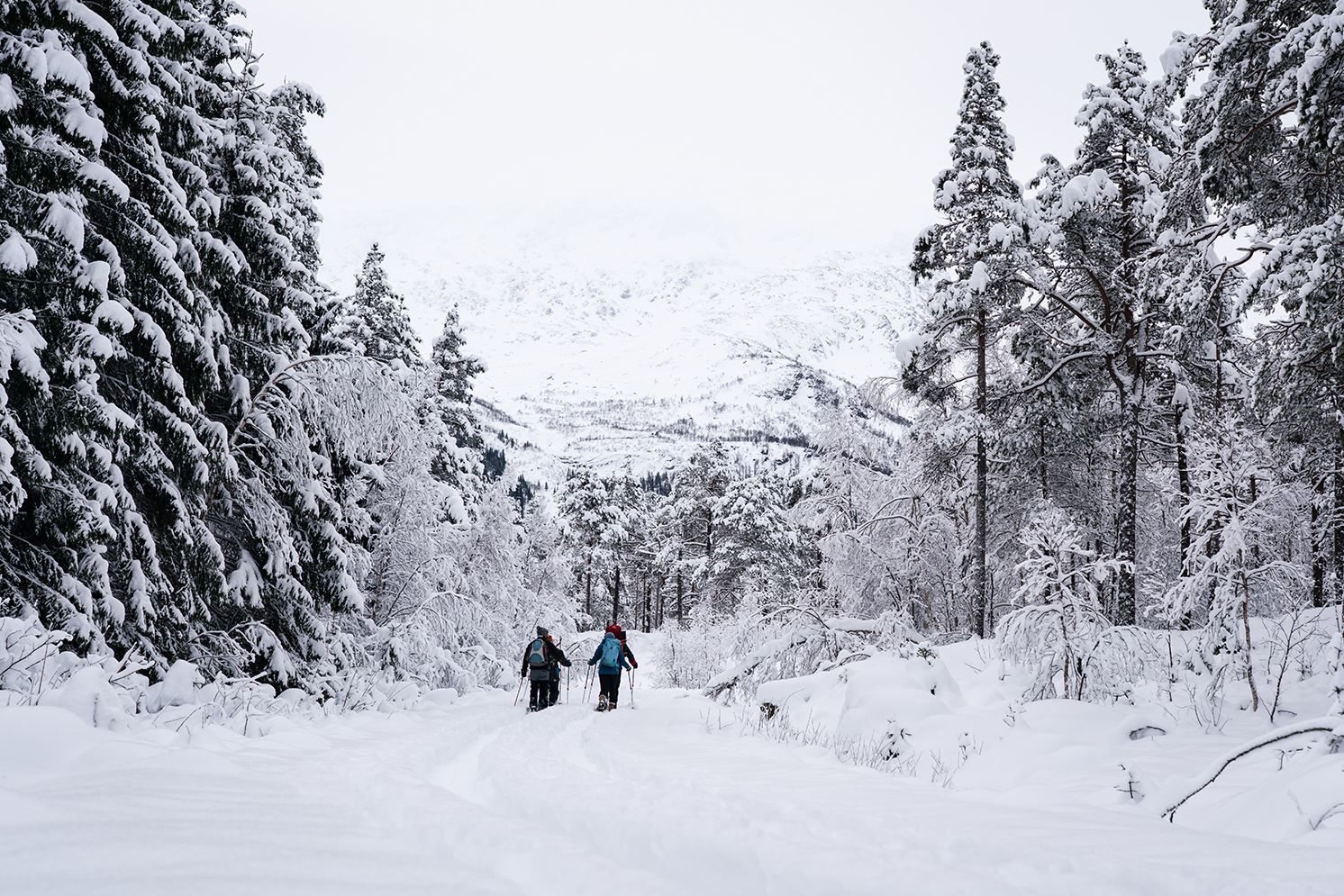 Trugetur i Raundalen