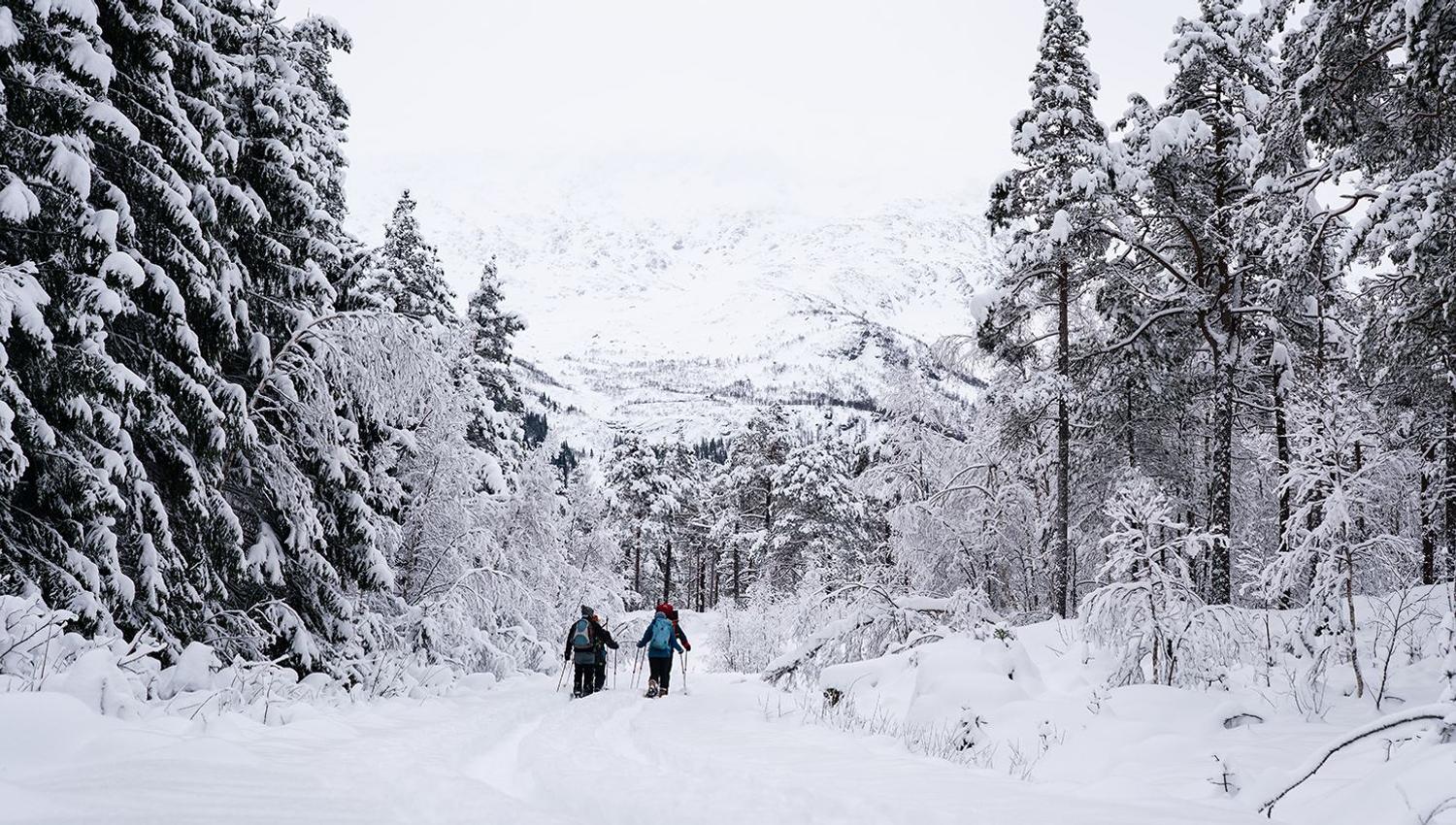 Trugetur i Raundalen