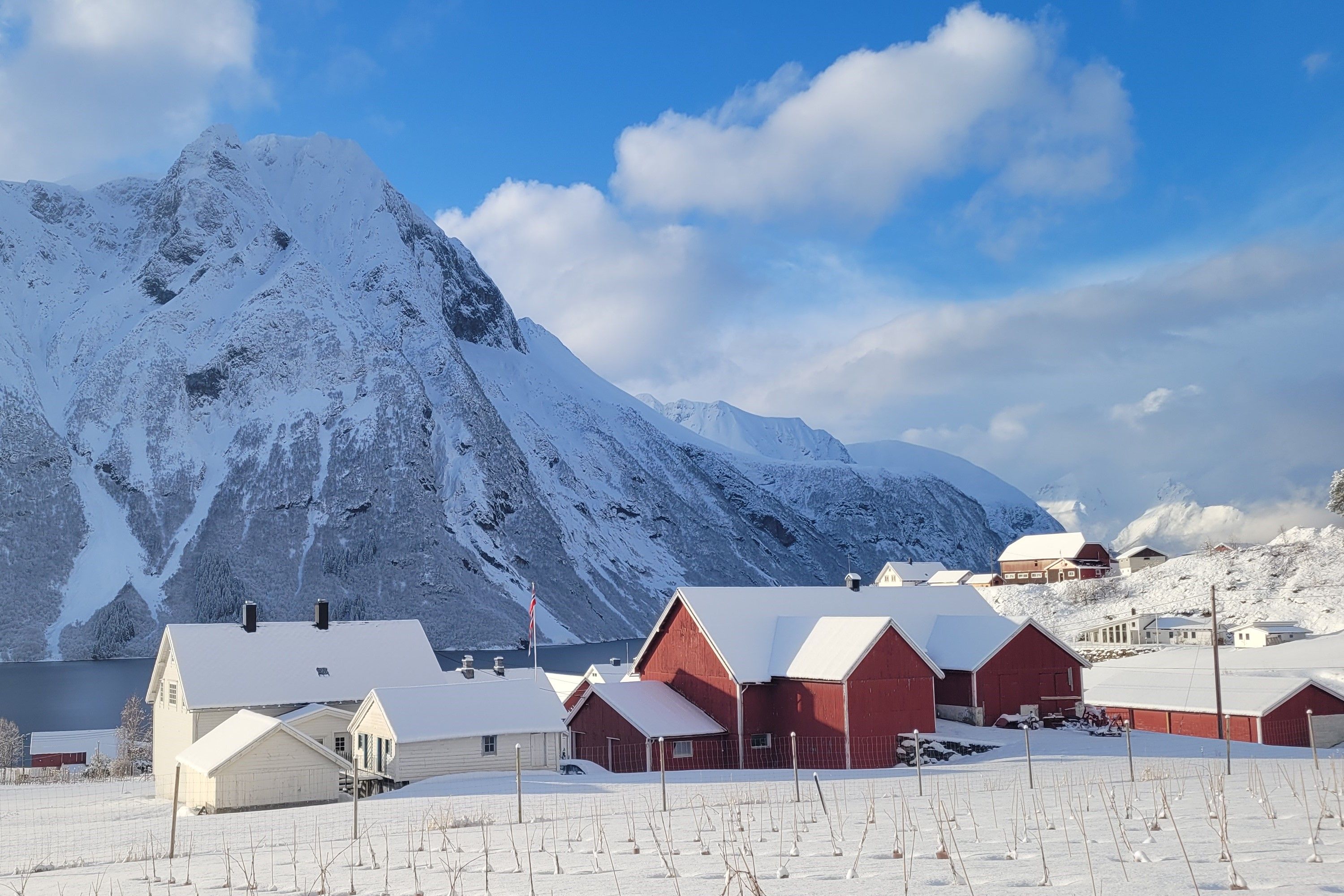 Haula Vineyard i vinterdrakt i Hjørundfjorden