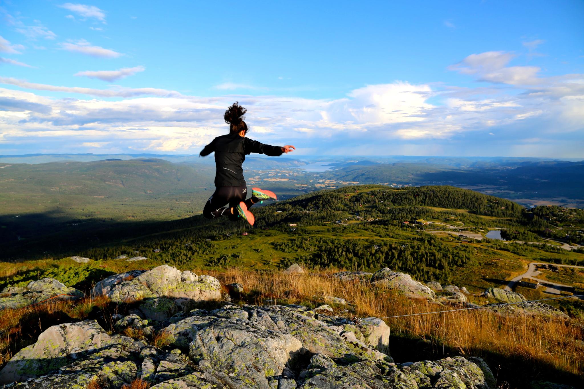 Naturbilde sommer på Lifjell