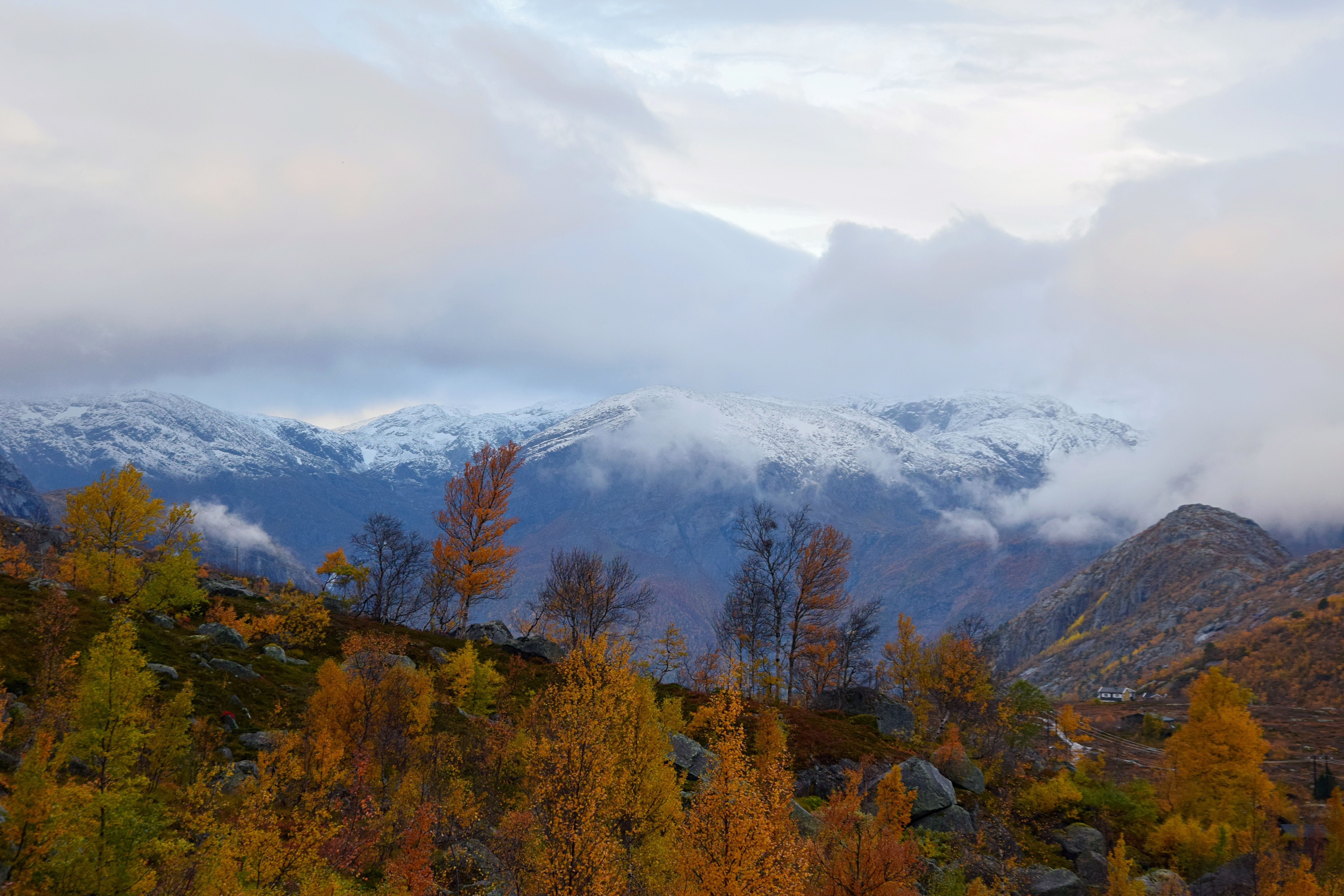 Guidet dagstur til Trolltunga