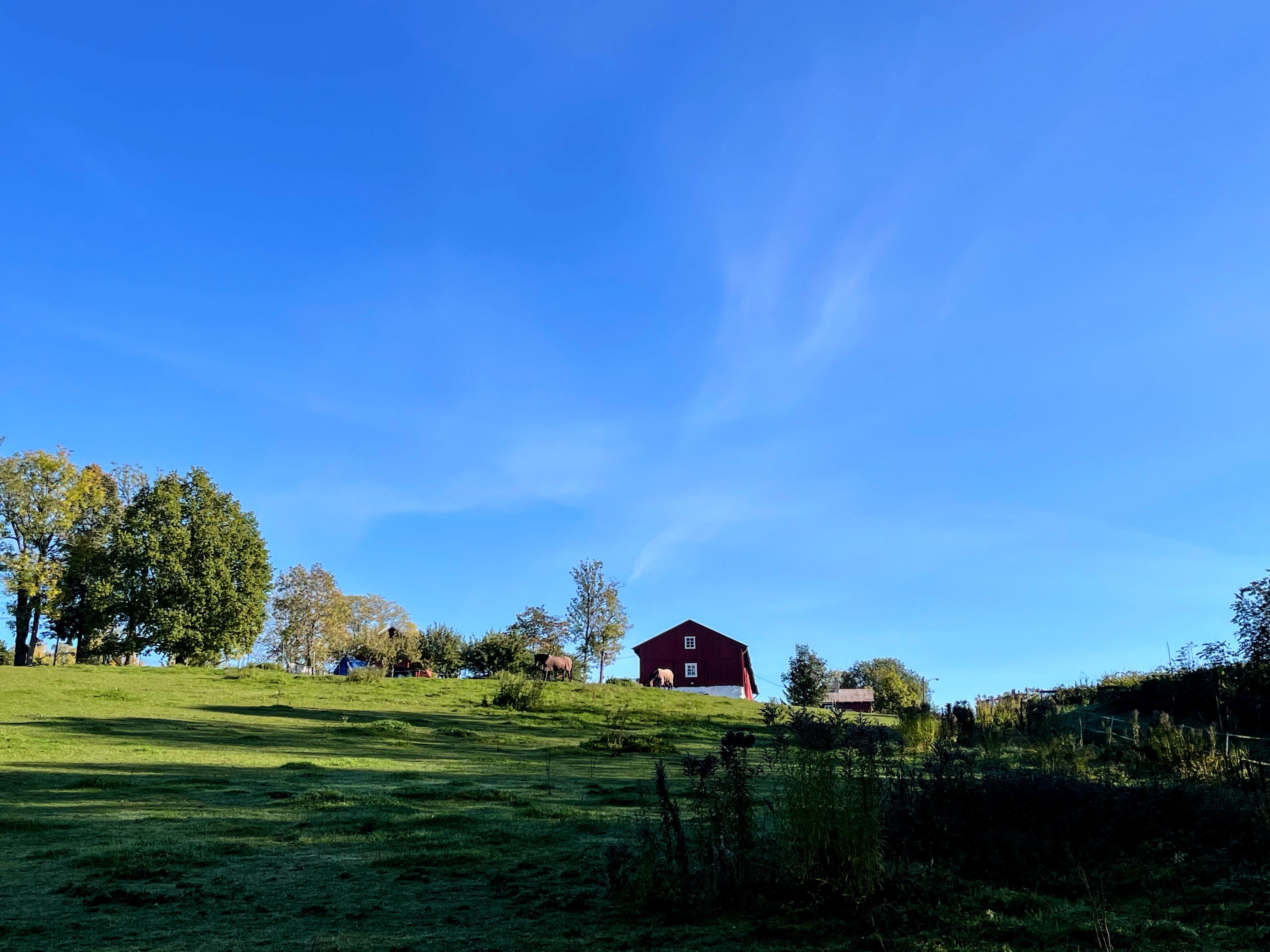 Løkenes farm - red barn and green hill
