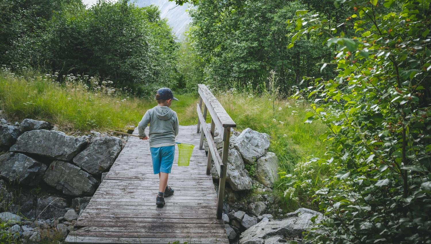 A small boy hiking in the woods carrying a hoof.
