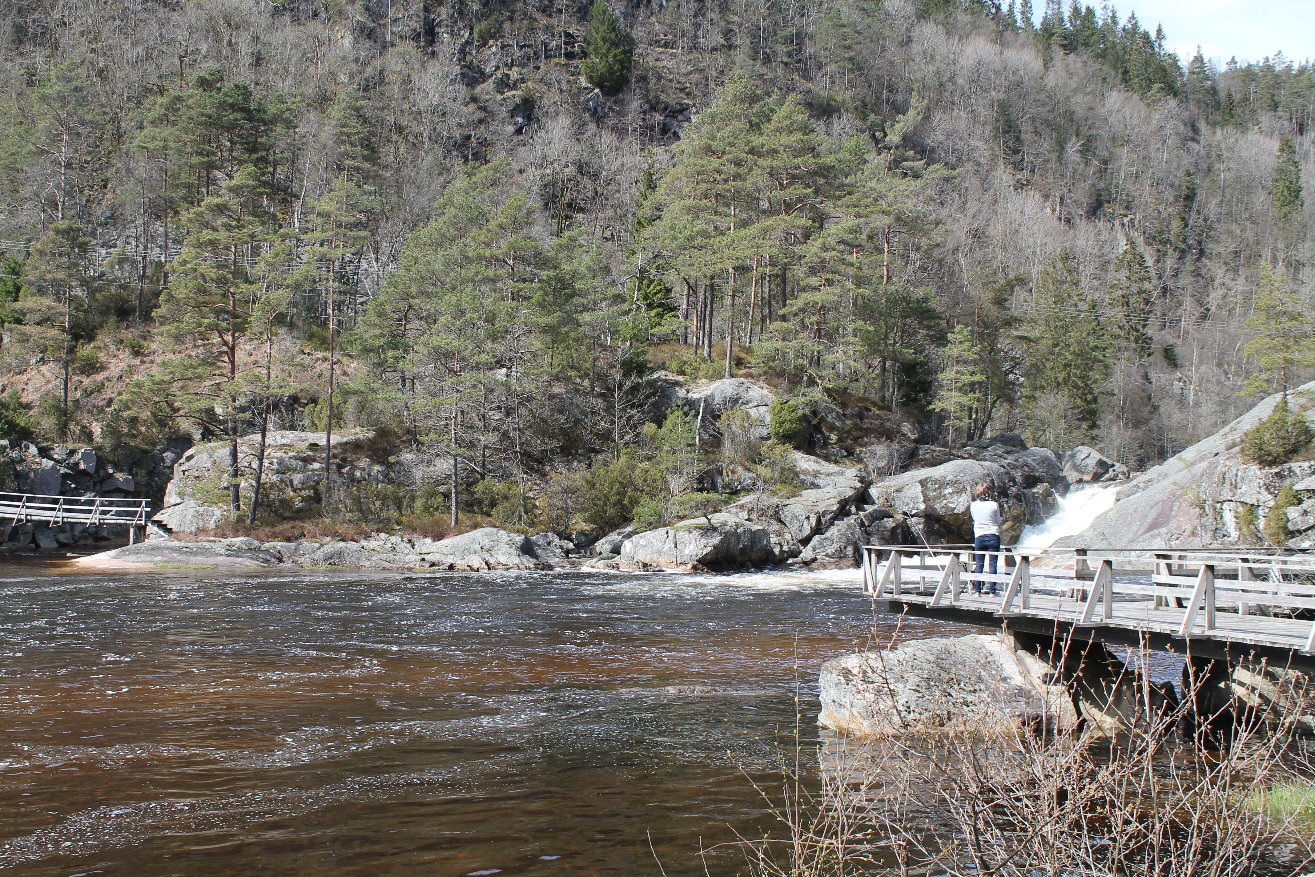 A woman on a pier looking towards a waterfall