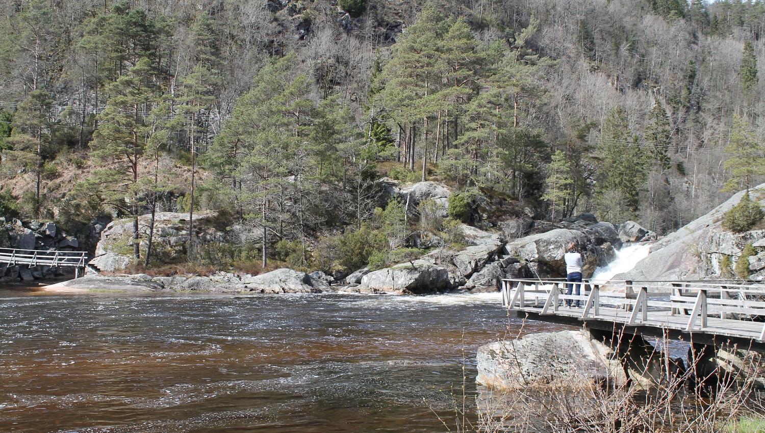 A woman on a pier looking towards a waterfall