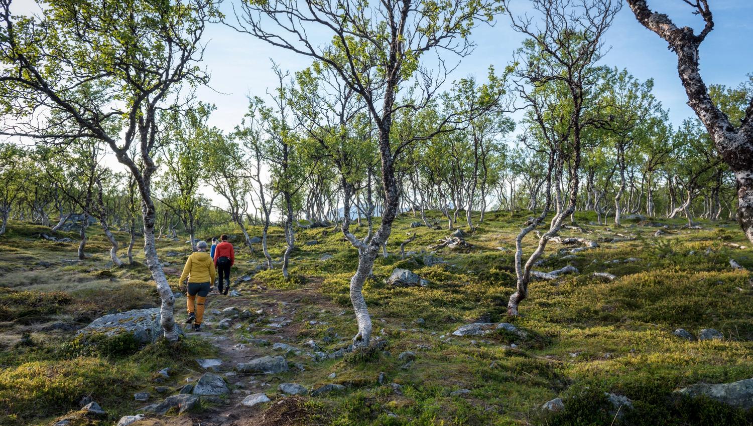 Foto: Dag Roland