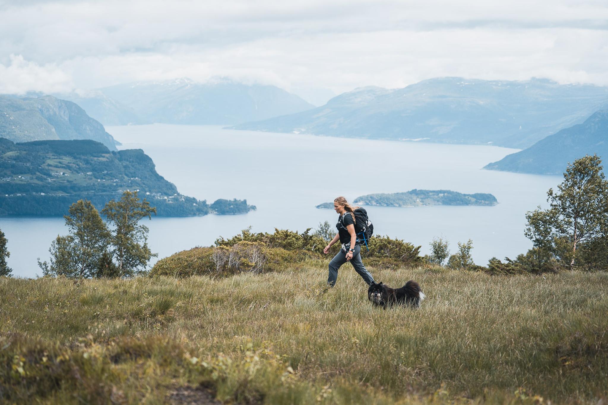 Woman and dog hiking in the mountains over the Hardangerfjord. 